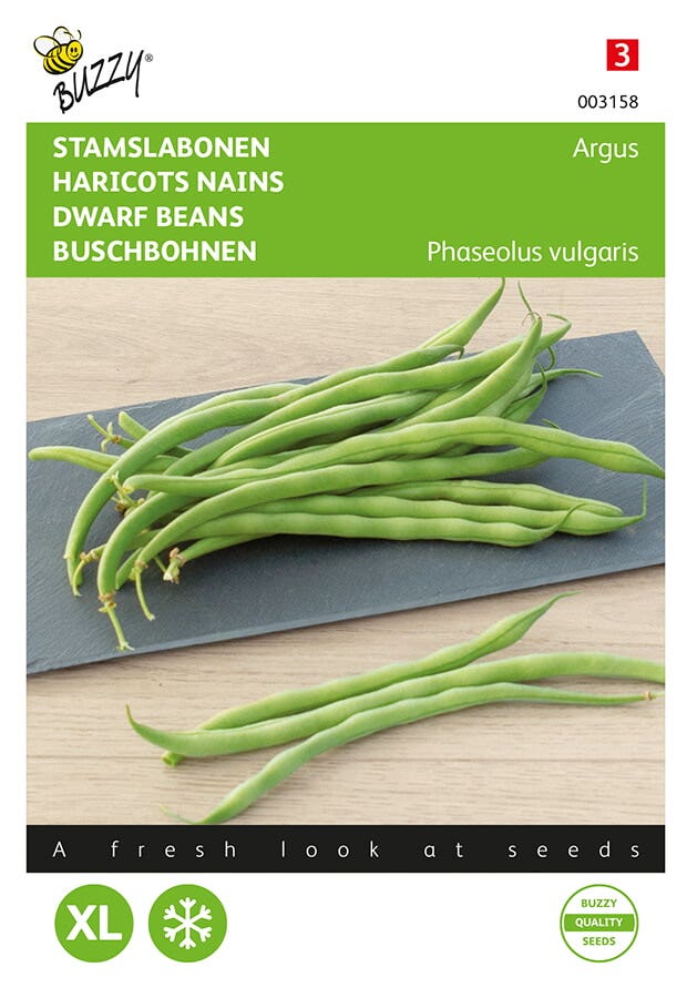 Stamslabonen Haricot Vert Argus