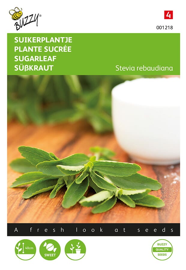 Stevia, Suikerplantje of Honingkruid