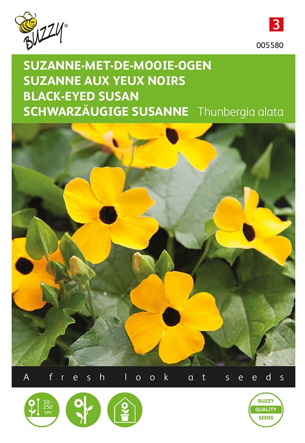 Suzanne-met-de-mooie-ogen( Thunbergia alata)