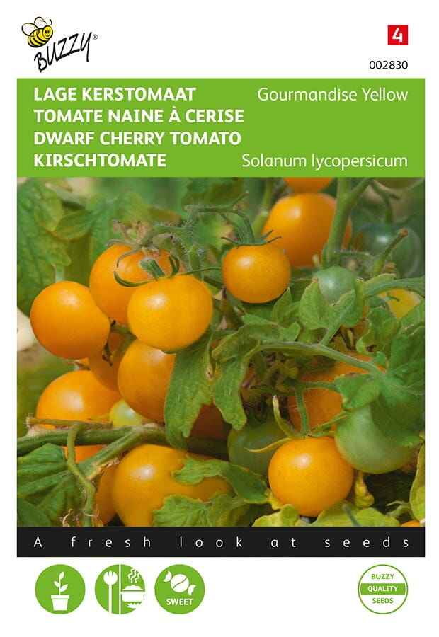 Tomaten Gourmandise (gele cherry patio)