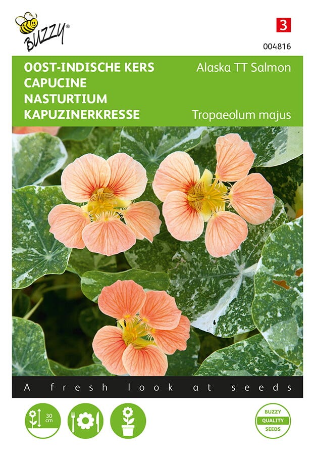 Oost-indische kers (Tropaeolum Majus 'Alaska Salmon')