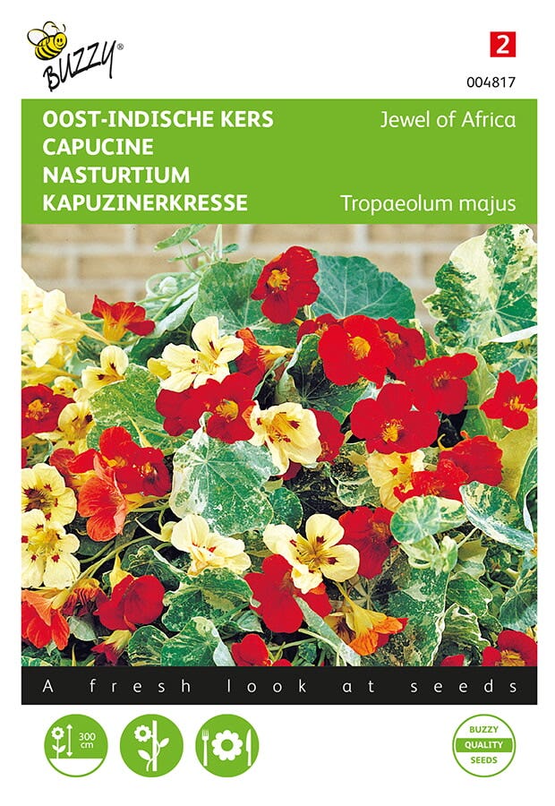 Oost-Indische kers (Tropaeolum majus 'Jewel of Africa')