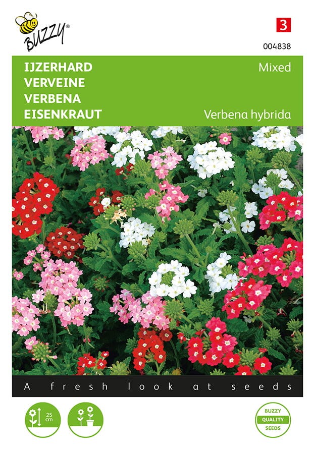 Verbena, IJzerhard compact kleurenmengsel