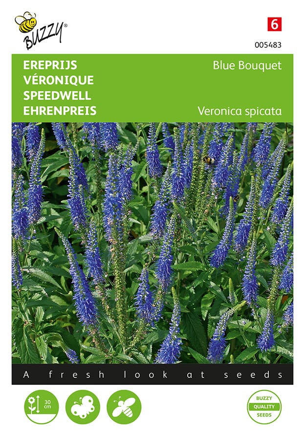 Ereprijs ( Veronica spicata 'Blue Bouquet')