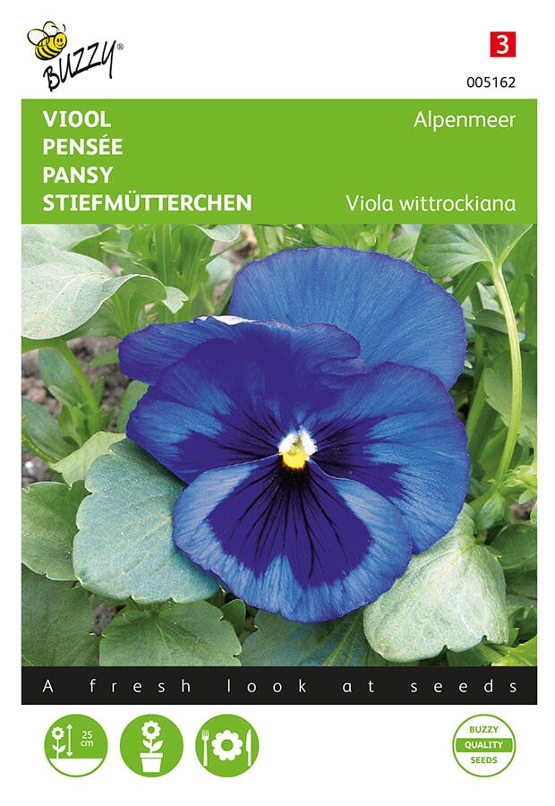 Viool Alpenmeer ( Viola wittrockiana 'blauw')