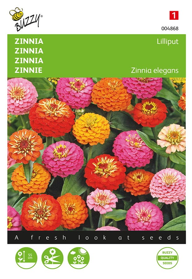 Zinnia Lilliput gemengd