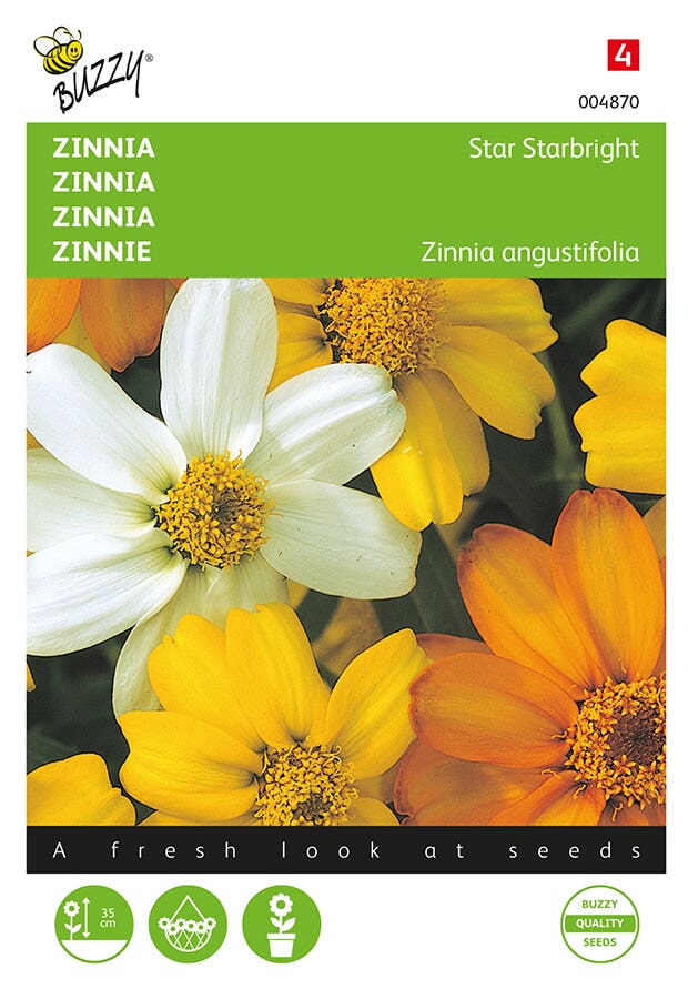 Zinnia Star Starbright gemengd