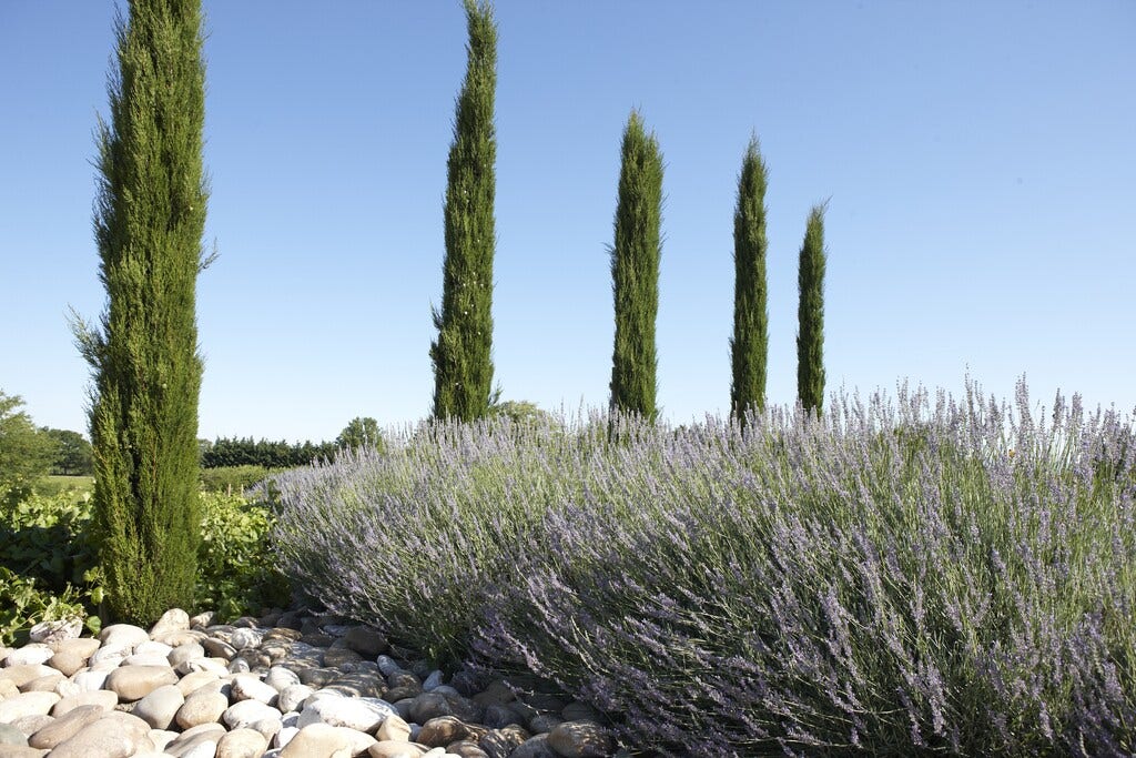 Borderpakket Italiaanse border