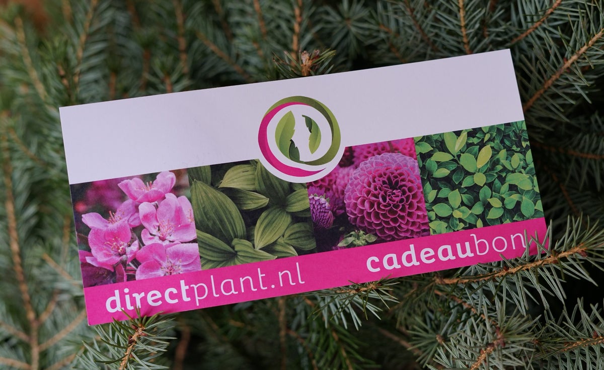 Cadeaubon - Ter waarde van 25 Euro