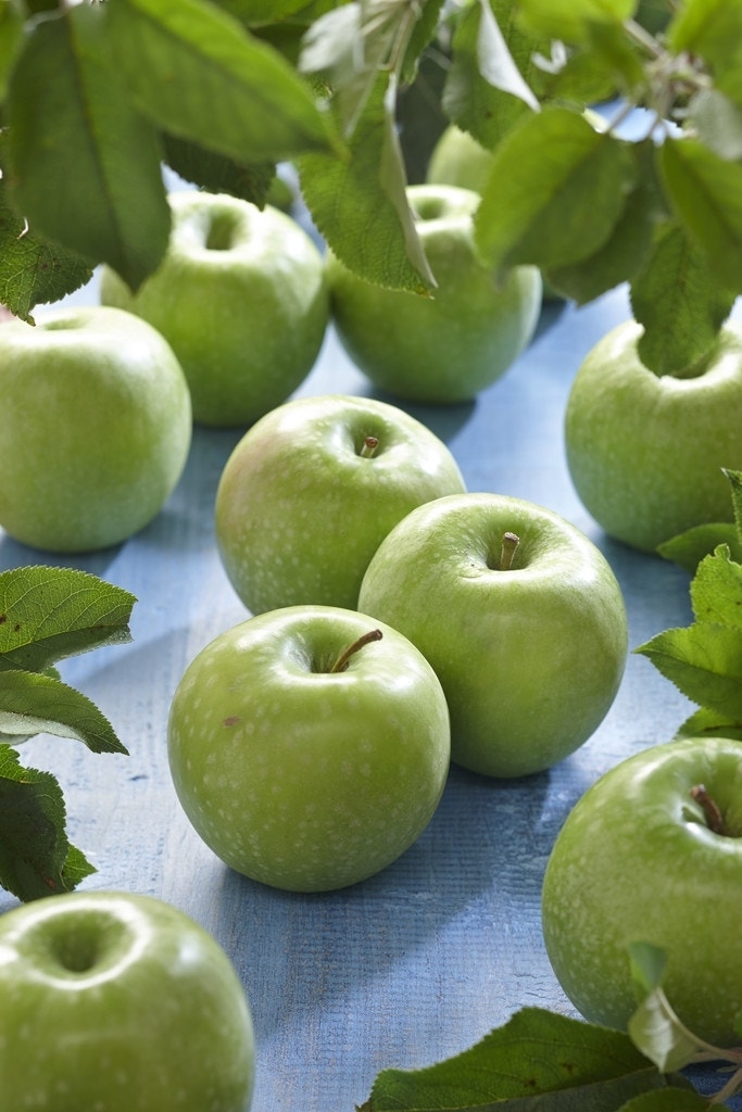 Appelboom (Malus domestica 'Granny Smith')