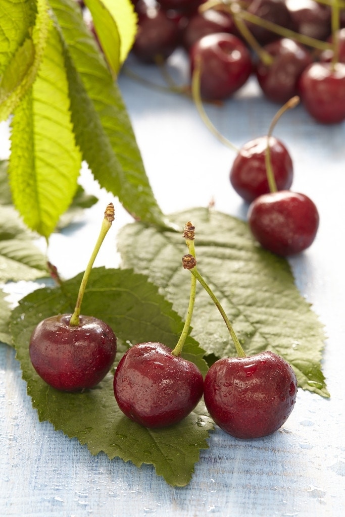 Lei-Kers (Prunus avium 'Sunburst')