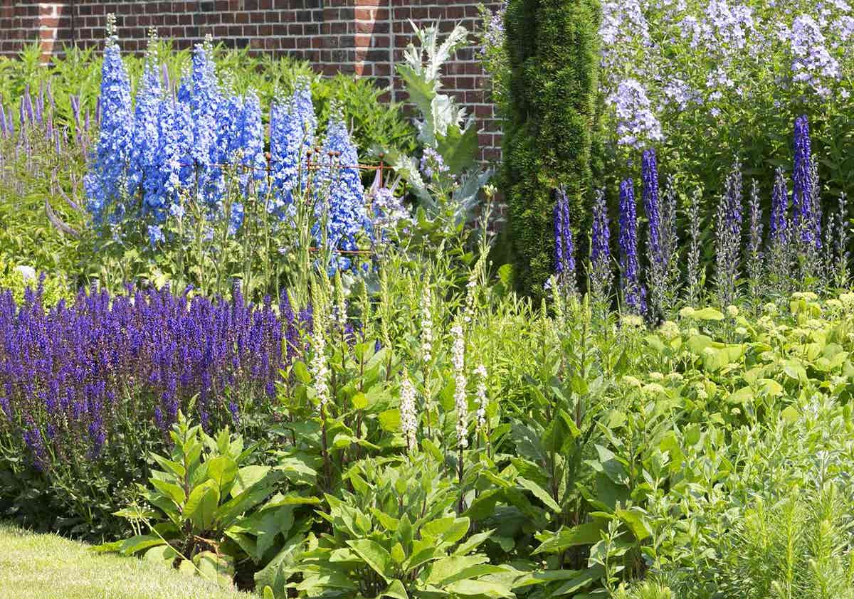 Borderpakket Zomer in Blauw, Violet en Wit (4,5 M²)